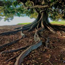 Is The Generational Divide Making or Breaking Veterinary?