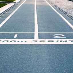 <strong>6 New Grad Hacks They Don’t Teach You at Vet School</strong>