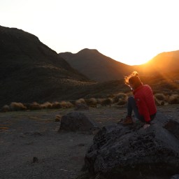 How I Diversified Out of Clinical Practice (Part 2)